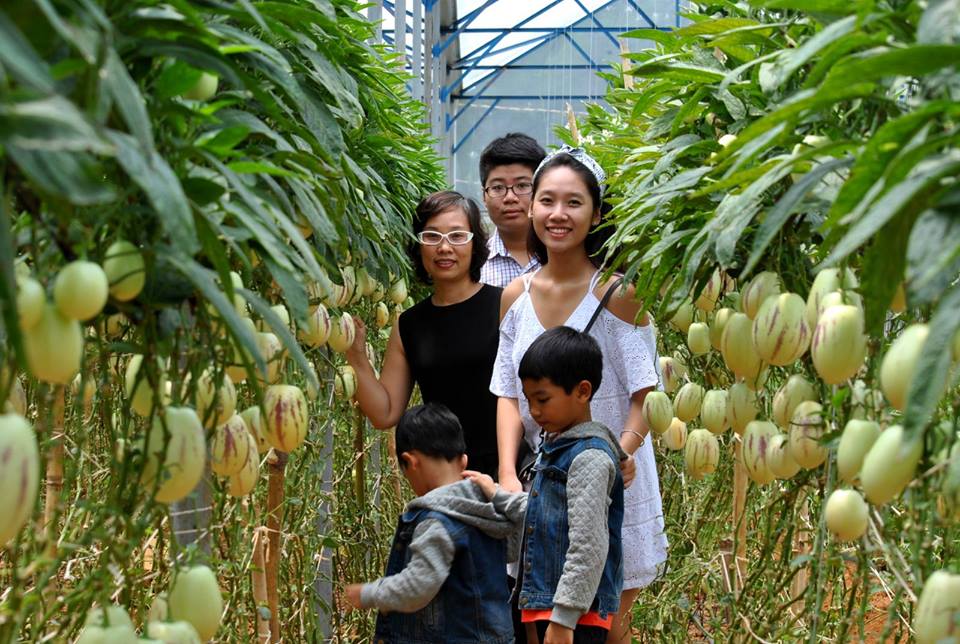 Tour Đà lạt 1 ngày