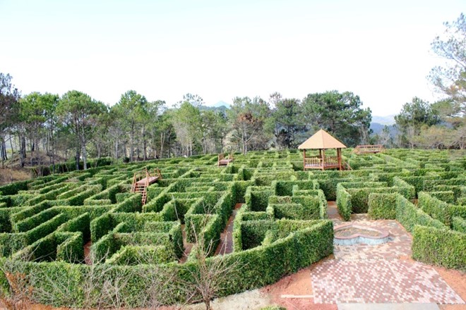 thung lung tinh yeu da lat